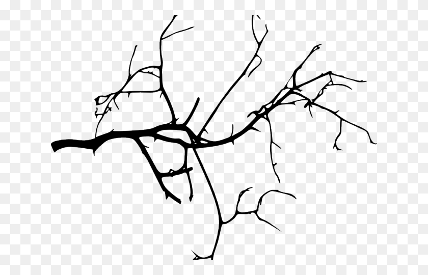 640x480 Branch Transparent Images Branches, Leaf, Plant, Nature HD PNG Download