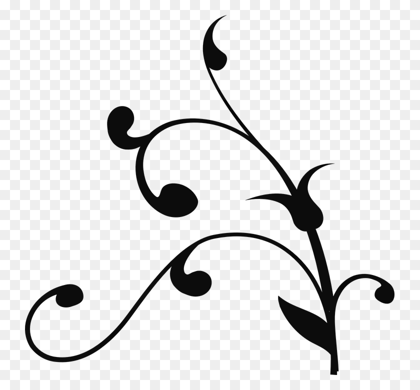 739x720 Branch Tree Twist Nature Tree Branch Clip Art, Floral Design, Pattern, Graphics HD PNG Download