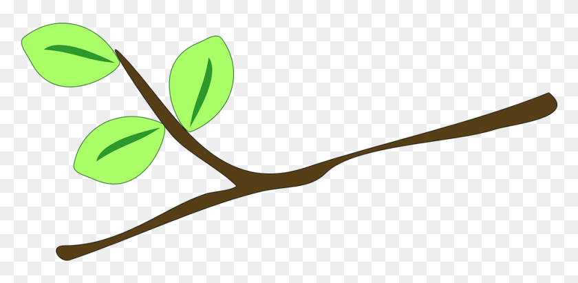 961x433 Branch Vector Leafy Clip Art Of Twig, Plant, Scissors, Blade HD PNG Download