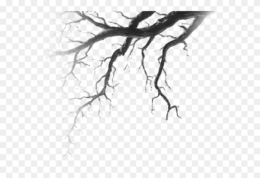 550x517 Branches Drawing Nature Tree Drawing Horror, Gray, World Of Warcraft HD PNG Download