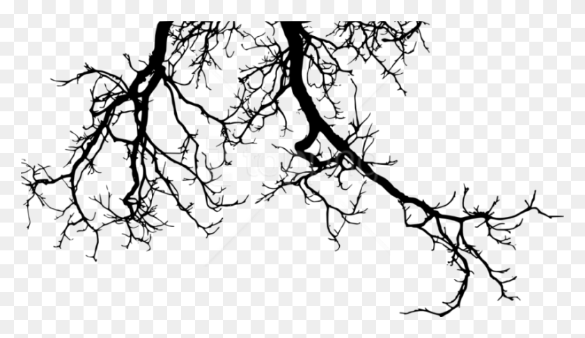 850x465 Branches Free Images Toppng Tree Branch Silhouette, Plant, Flower, Blossom HD PNG Download
