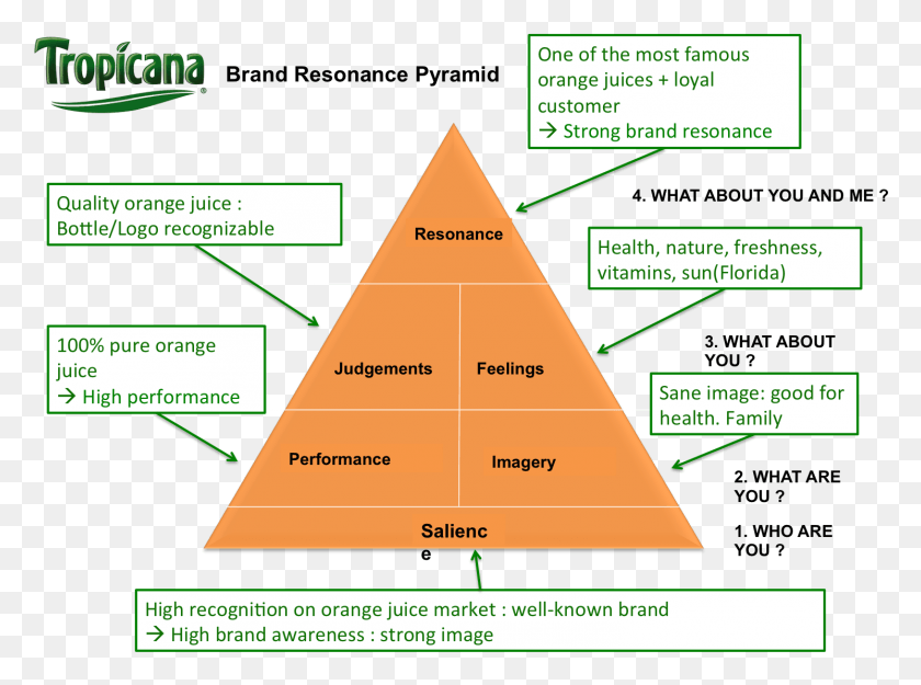 1491x1081 Brand Resonance Pyramid For Tropicana Brand Identity Prism Tropicana, Building, Architecture, Flyer HD PNG Download