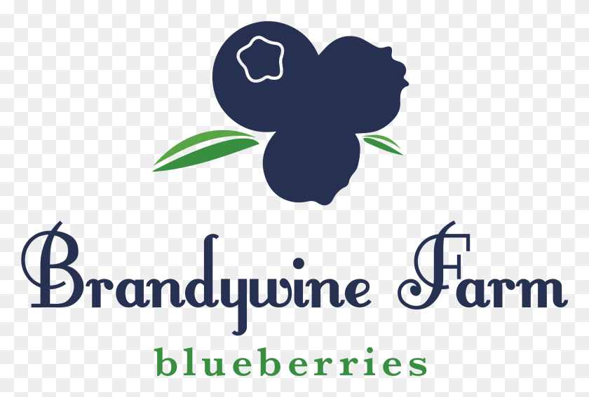 2870x1869 Brandywine Farms Blueberries Bahati, Poster, Advertisement, Text HD PNG Download