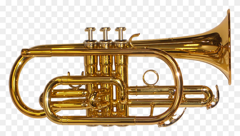 850x455 Brass Band Instrument Picture Brass Instrument, Trumpet, Horn, Brass Section HD PNG Download