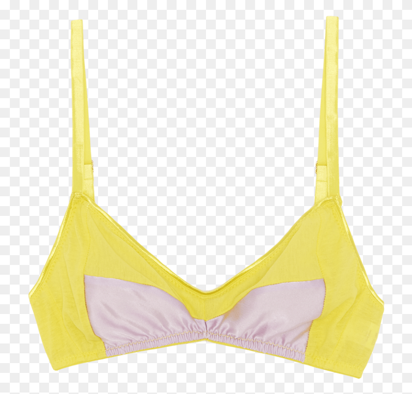 729x743 Brassiere, Clothing, Apparel, Lingerie HD PNG Download