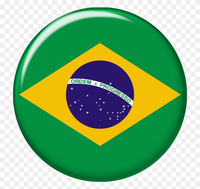 731x731 Brazil National Flag Suriname Brazil Flag, Sphere, Ball, Logo HD PNG Download