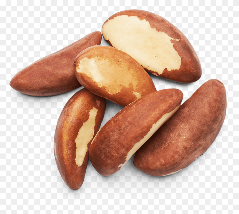784x697 Brazil Nuts Images 1 Brazil Nut Top View, Plant, Vegetable, Food HD PNG Download