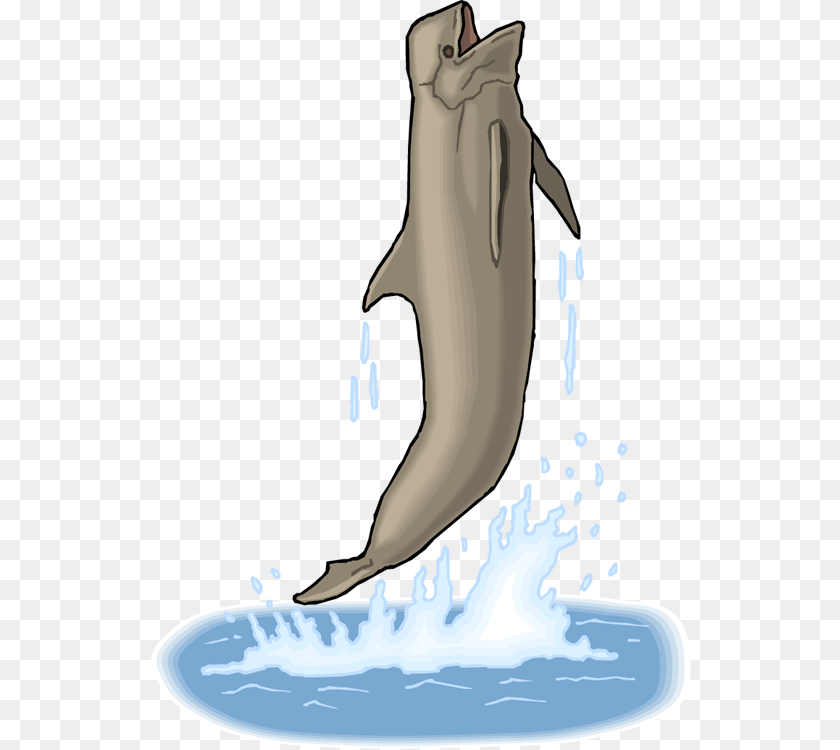 Breaching Whale Whale Breaching Animal, Sea Life, Dolphin, Mammal Clipart PNG