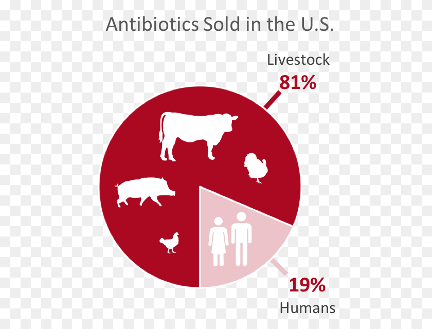 464x580 Breakdown Of Antibiotics Sold In The United States Graphic Design, Label, Text, Bird HD PNG Download
