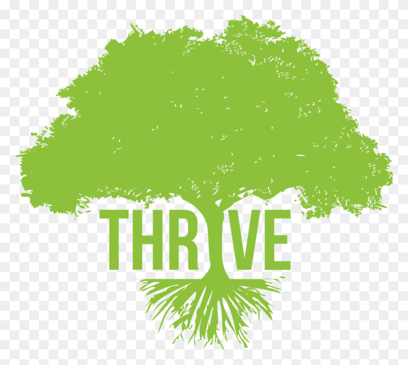 952x845 Breaking Bad Logo Thrive Tree, Plant, Leaf, Vegetation HD PNG Download