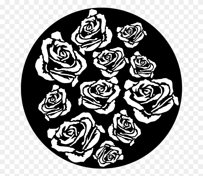 669x669 Breakup Roses Rose Gobo, Graphics, Floral Design HD PNG Download