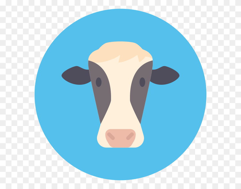 600x600 Порода Коров Молочная Корова, Крупный Рогатый Скот, Млекопитающее, Животное Hd Png Скачать