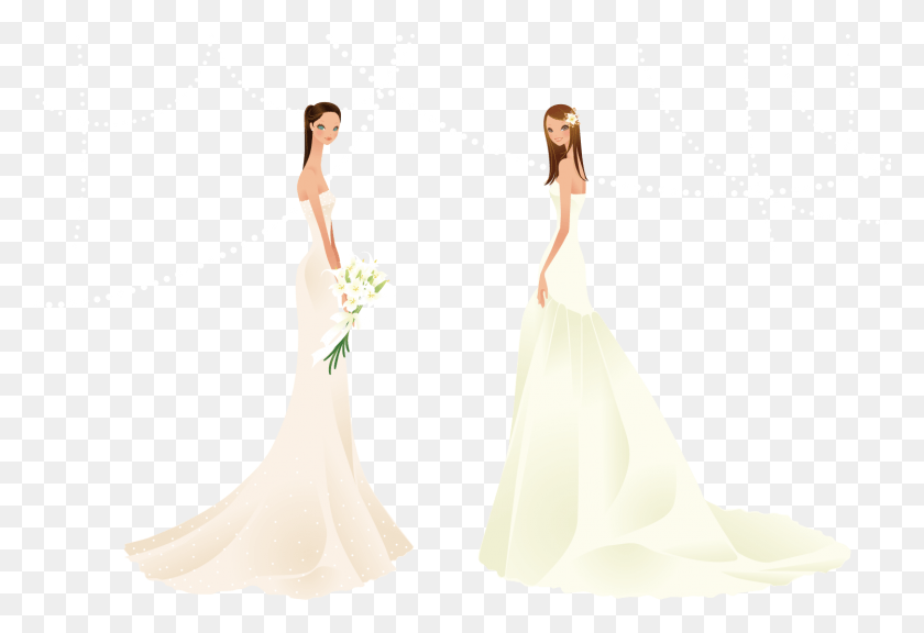 1499x992 Bridal Wallpaper, Clothing, Apparel, Person HD PNG Download