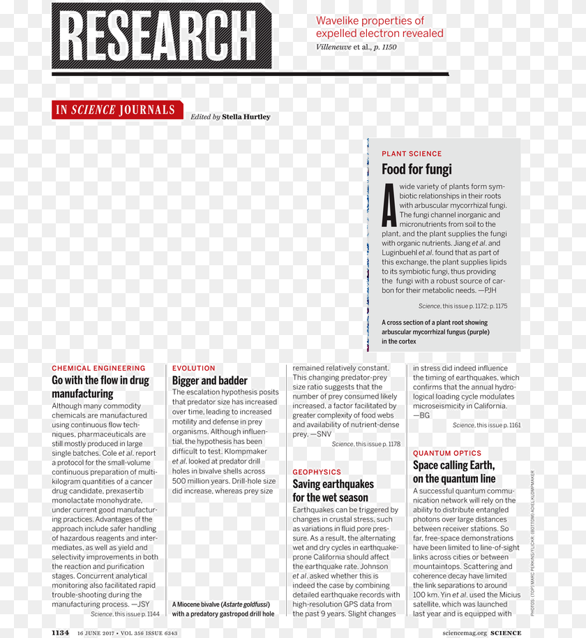 Brief News In Magazine, Advertisement, Page, Poster, Text PNG