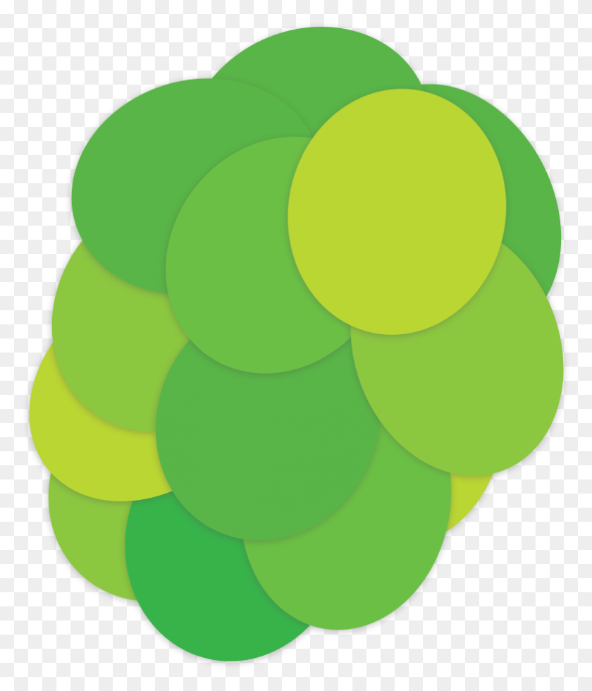 783x924 Bright Vines Grape The Crispy Crunchy Grape Circle, Plant, Green, Fruit HD PNG Download