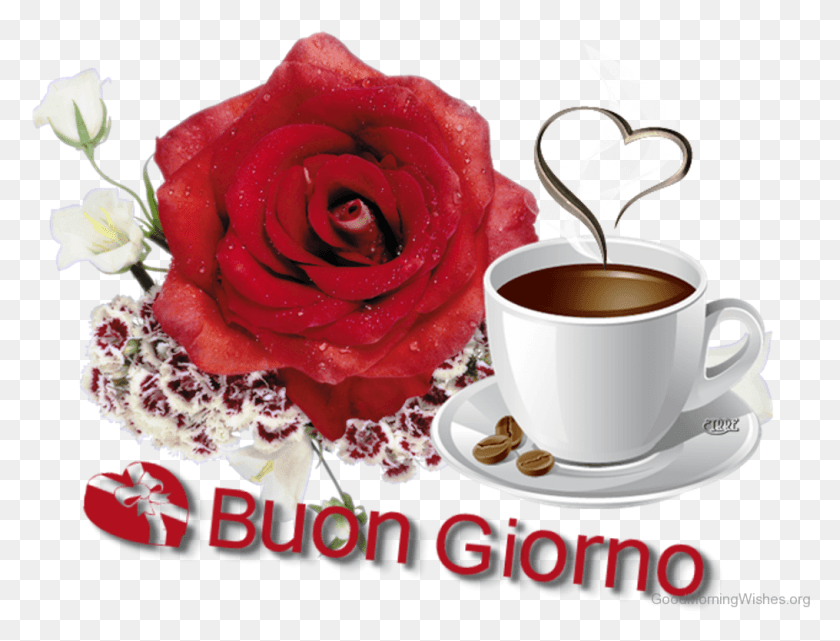 1015x757 Brilliant Pic Of Good Morning Buongiorno Cards, Coffee Cup, Cup, Plant HD PNG Download