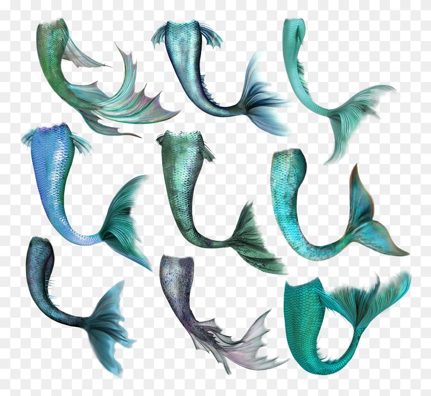 770x713 Bring The Family And Enjoy A Wonderful Story On Stage Mermaid Tail Art, Pattern, Fractal, Ornament HD PNG Download