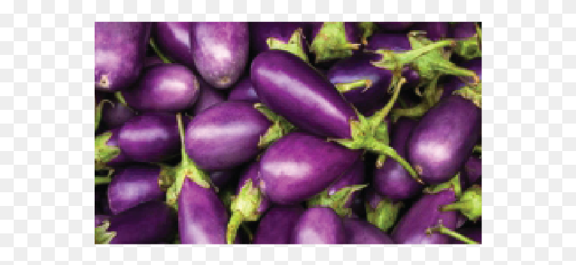 566x326 Brinjal 250 Gms Purple Eggplant, Plant, Vegetable, Food HD PNG Download