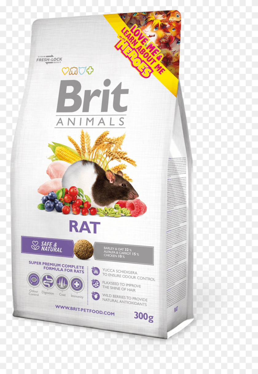 1150x1705 Brit Animals Rat, Mammal, Animal, Rodent HD PNG Download