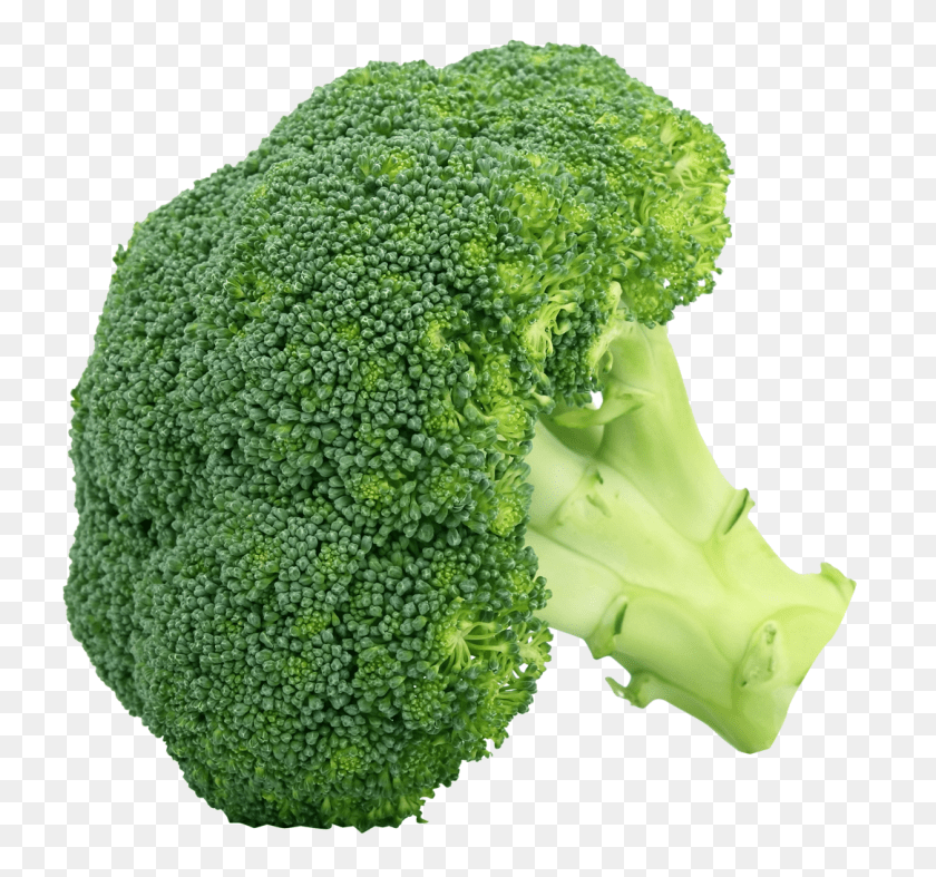 1166x1092 Broccoli, Food, Plant, Produce, Vegetable PNG