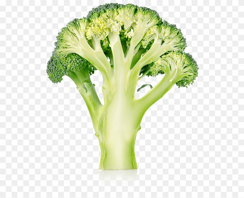 550x681 Broccoli, Food, Plant, Produce, Vegetable PNG