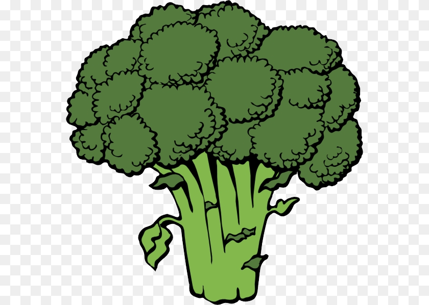 Broccoli, Food, Plant, Produce, Vegetable PNG