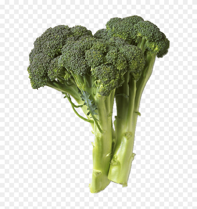 700x831 Broccoli Bad For You, Plant, Vegetable, Food HD PNG Download