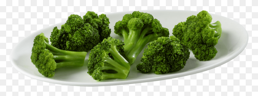 1455x474 Broccoli Broccoli, Vegetable, Plant, Food HD PNG Download