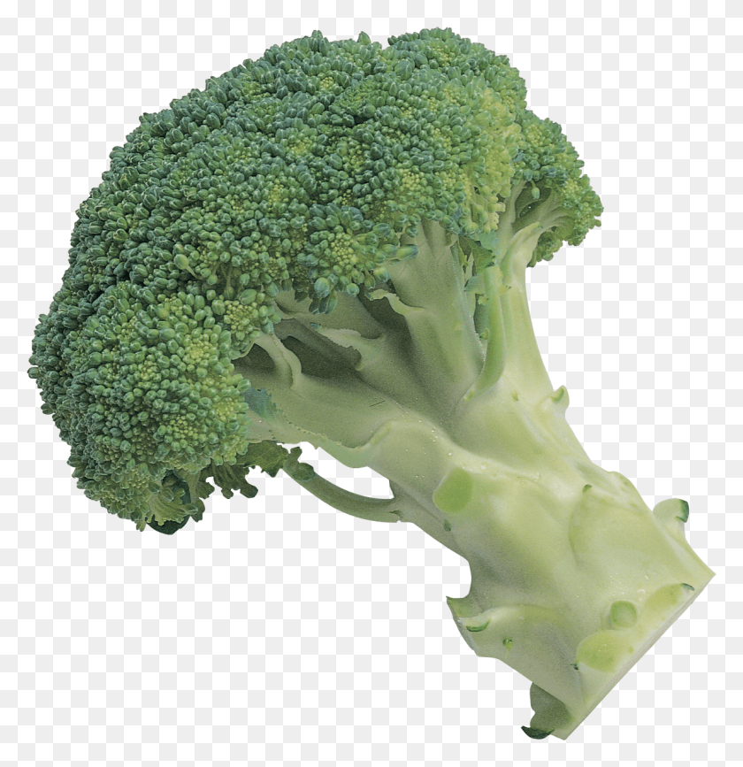 1185x1227 Broccoli Broccoli With Transparent Background, Plant, Vegetable, Food HD PNG Download