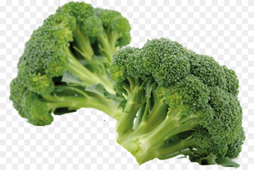 786x561 Broccoli Eating Vegetable Sulforaphane Chinese Cabbage Information Of Broccoli, Food, Plant, Produce Sticker PNG