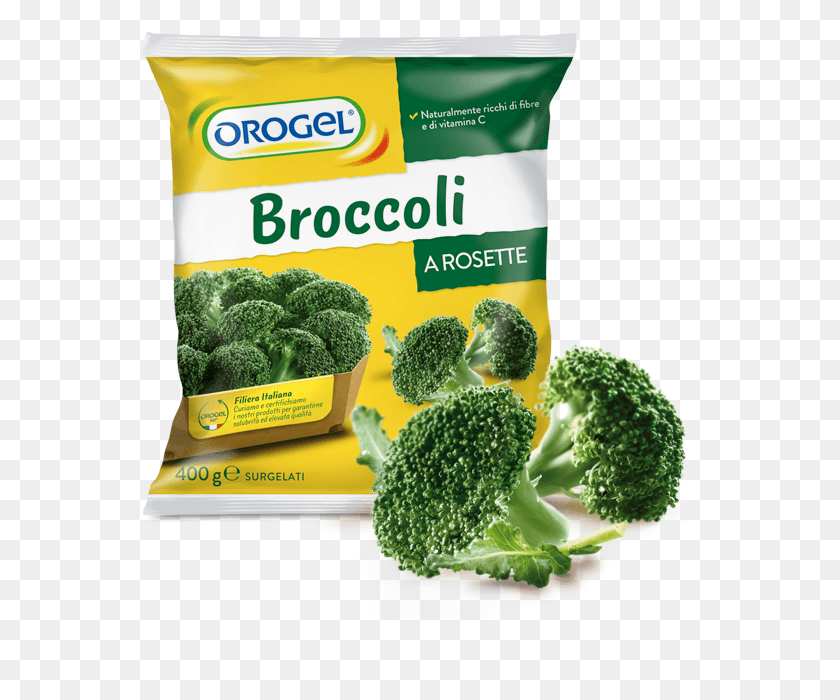 556x640 Broccoli Florets Orogel, Plant, Vegetable, Food HD PNG Download