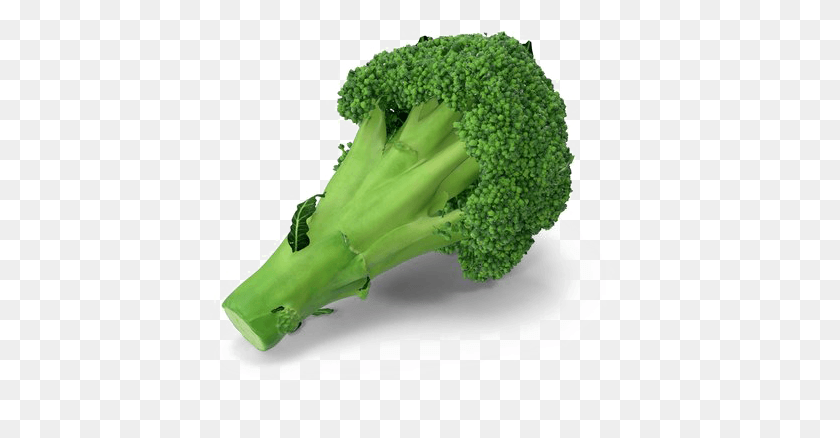 446x378 Broccoli Transparent Image Broccoli, Plant, Vegetable, Food HD PNG Download