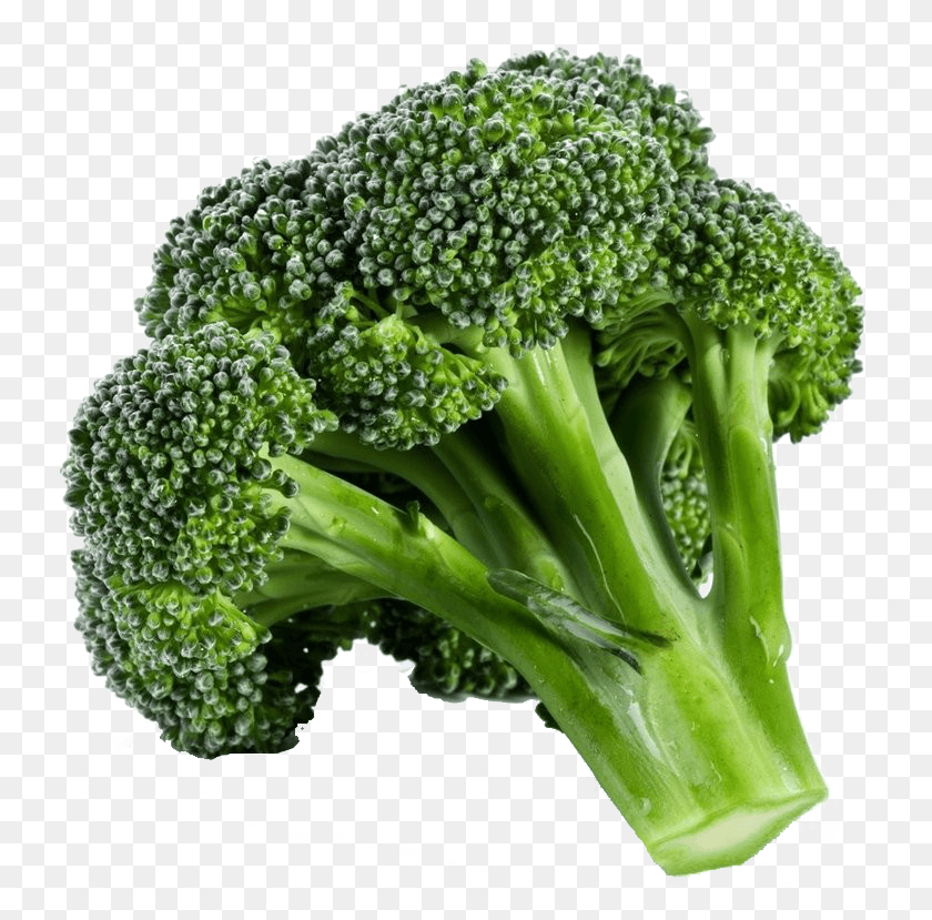 745x769 Broccoli White Background, Plant, Vegetable, Food HD PNG Download