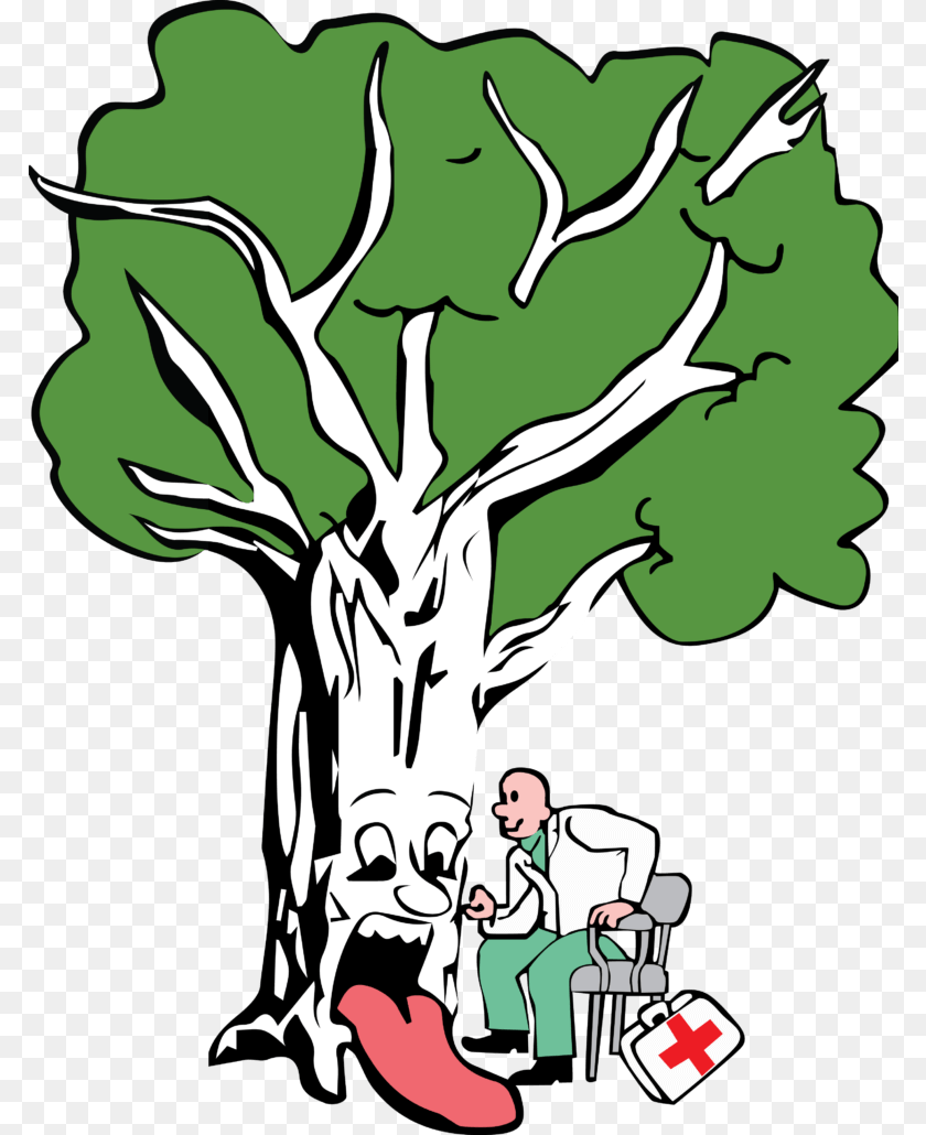 Brockley Tree Service, Person, Plant, Logo, Baby Sticker PNG