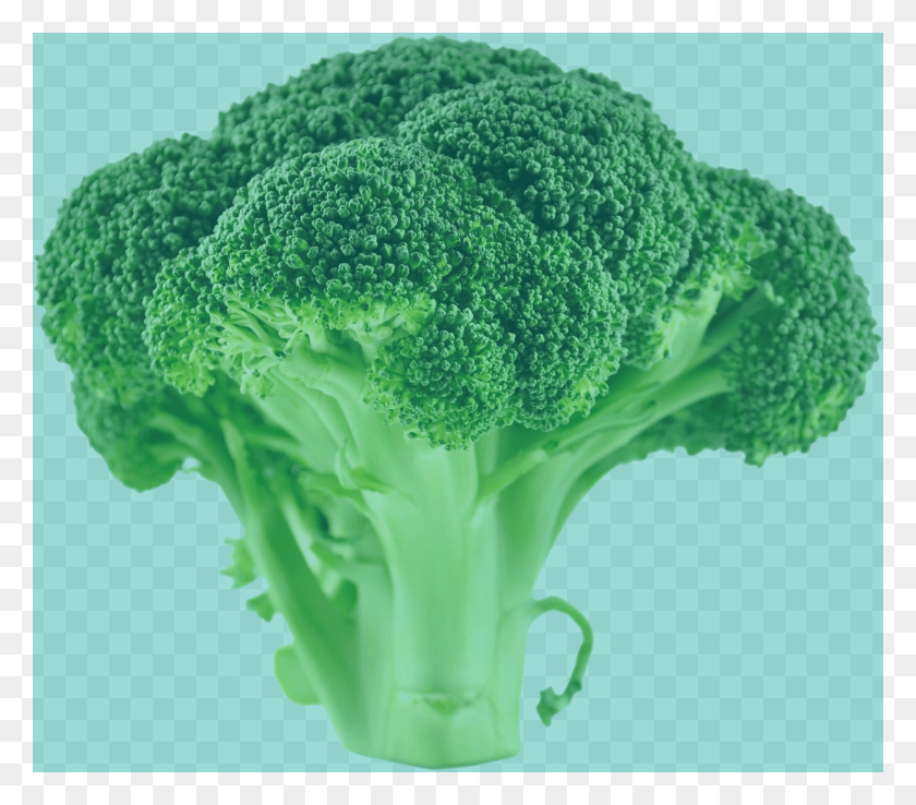 2629x2286 Brocoli Verde Trans Brócoli, Vegetal, Planta, Alimentos Hd Png