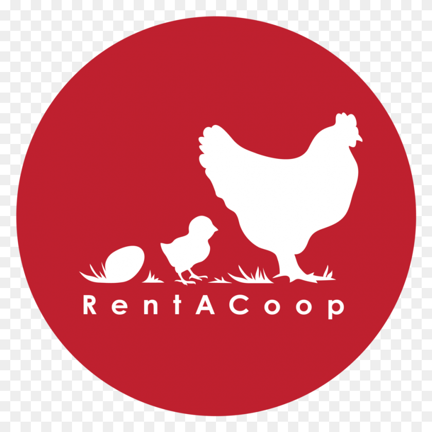 945x945 Pollo De Engorde, Animal, Pájaro, Aves Hd Png