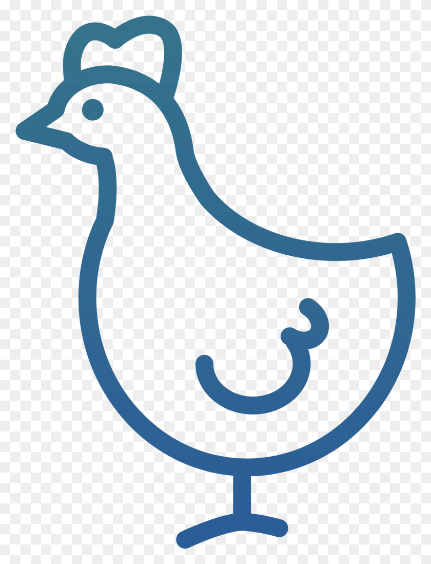 1456x1938 Pollo De Engorde Png / Pollo De Engorde Hd Png