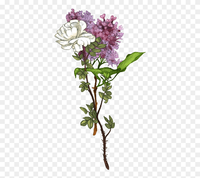 393x687 Brollopsbukett Artificial Flower, Plant, Blossom, Acanthaceae HD PNG Download