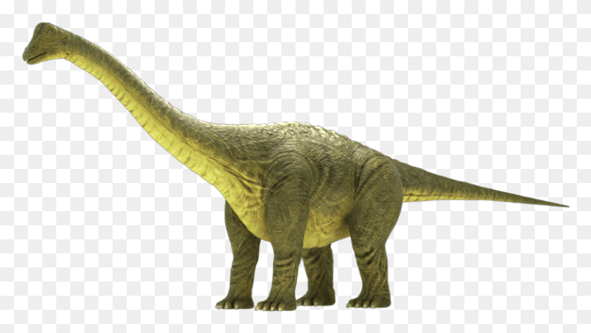 812x430 Brontosaurus Apatosaurus 3D Model Tyrannosaurus, Dinosaur, Reptile, Animal Descargar Hd Png