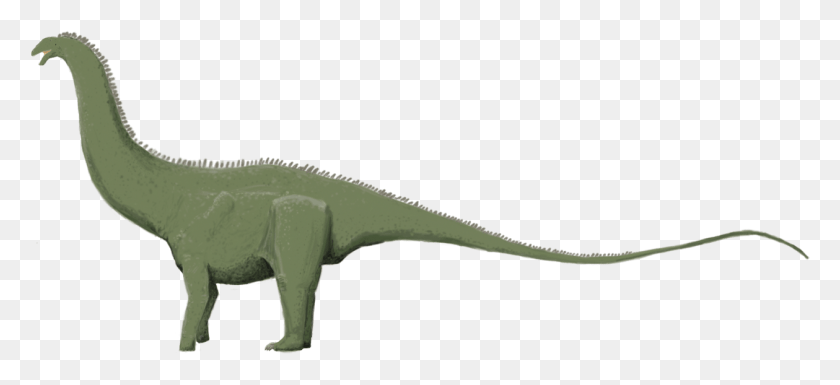 1259x525 Бронтозавр Excelsus Технически Этот Вид - Крокодил, Динозавр, Рептилия, Животное Png Скачать