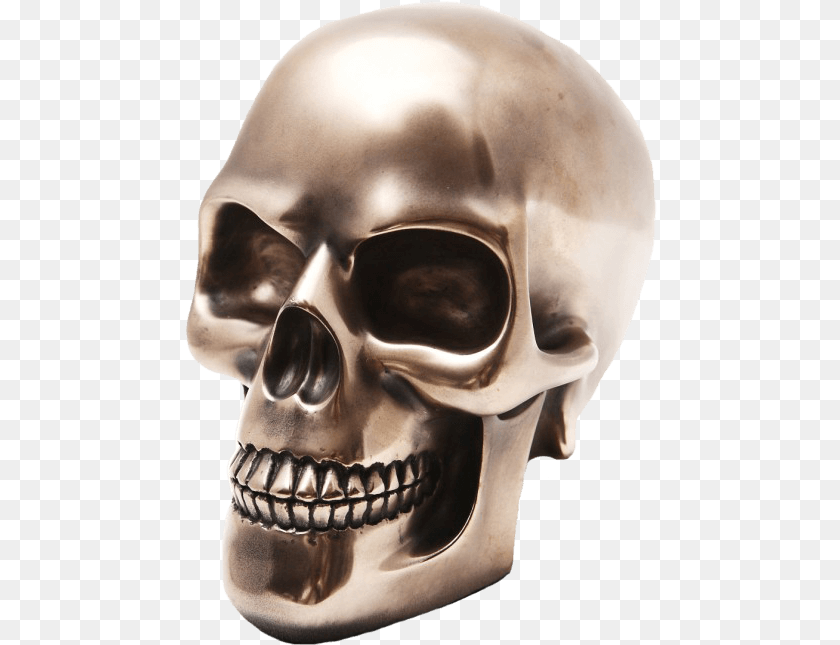 Bronze Skull Skull, Baby, Person, Head, Face PNG