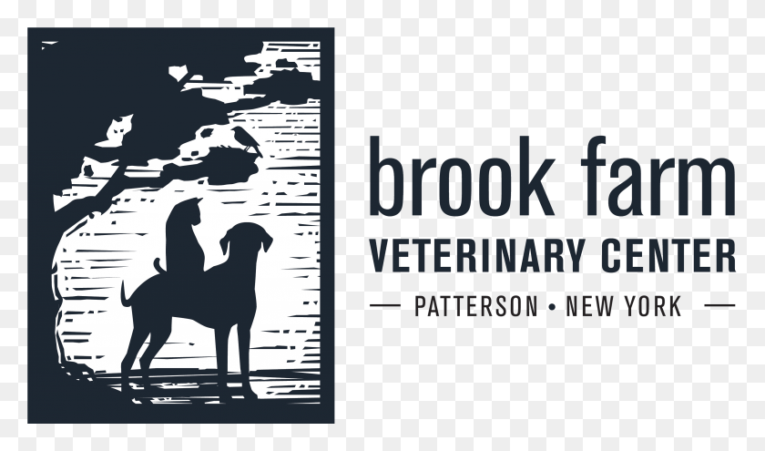 3387x1889 Brook Farm Veterinary Center Stallion, Text, Dog, Pet HD PNG Download