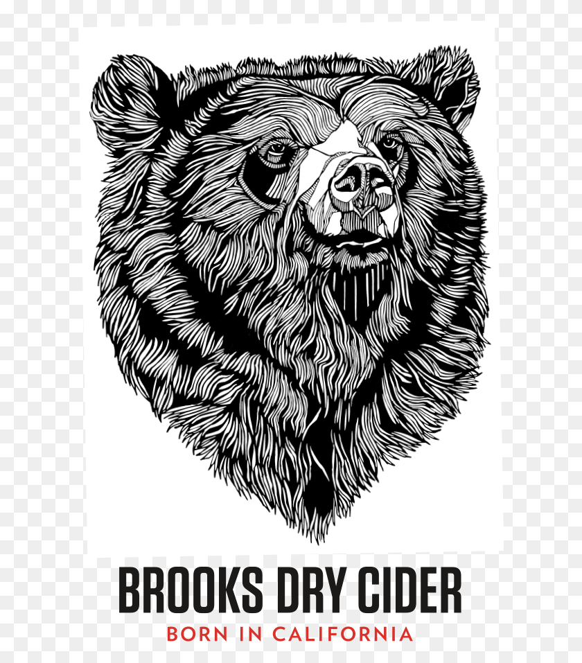 614x897 Brooks Dry Cider California Bears Memphis Grizzlies, Rug, Animal, Mammal HD PNG Download