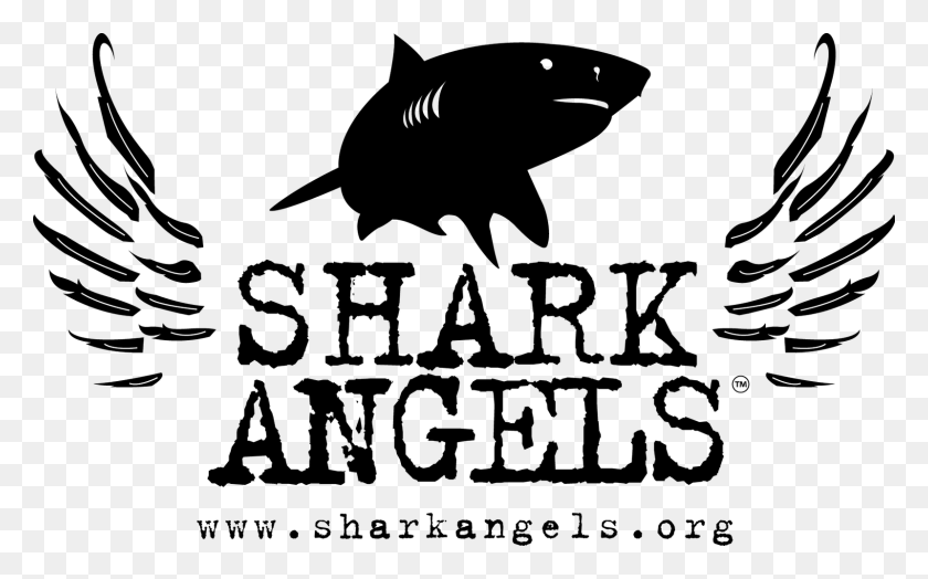 1600x953 Brought To You By Shark Angels, Gray, World Of Warcraft HD PNG Download