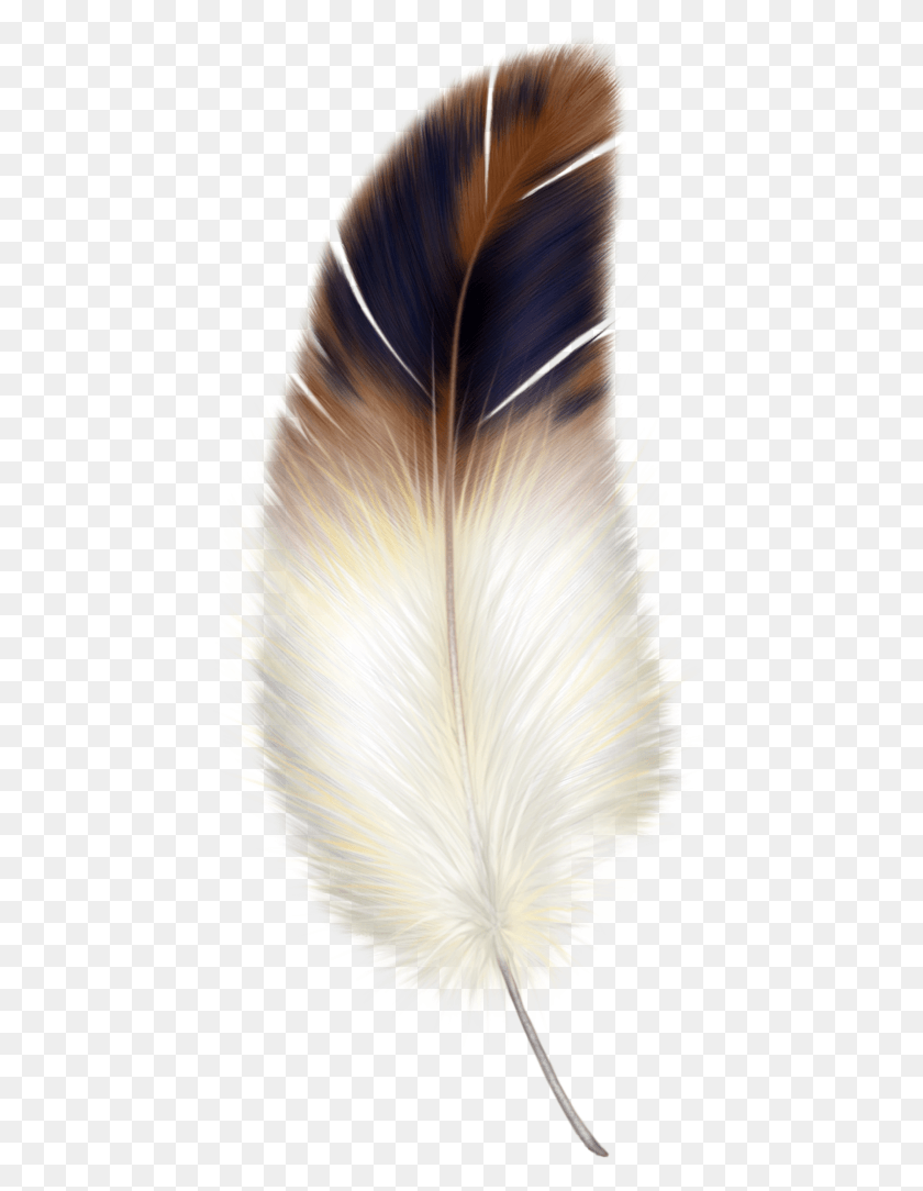 466x1024 Brown And White Feather, Bird, Animal, Hair HD PNG Download