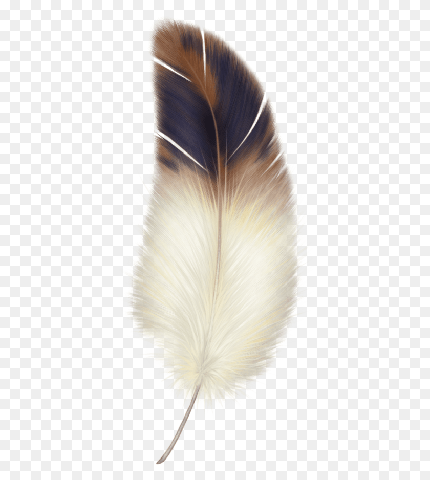 400x878 Brown And White Feather Feather, Bird, Animal, Plant HD PNG Download