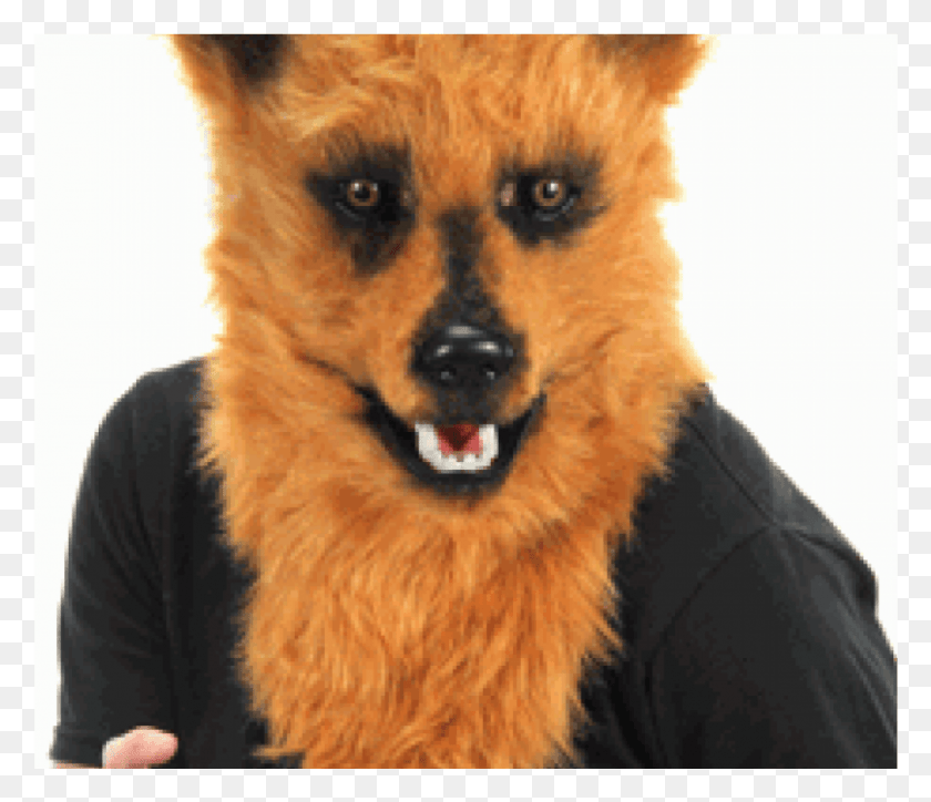 1005x856 Brown Bear Mouth Mover Mask Furry Cosplay Head Bear Mouth Mover Mask Bear, Dog, Pet, Canine HD PNG Download