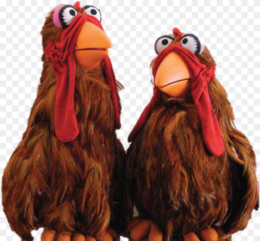 Brown Chicken Sesame Street, Animal, Beak, Bird, Toy Clipart PNG