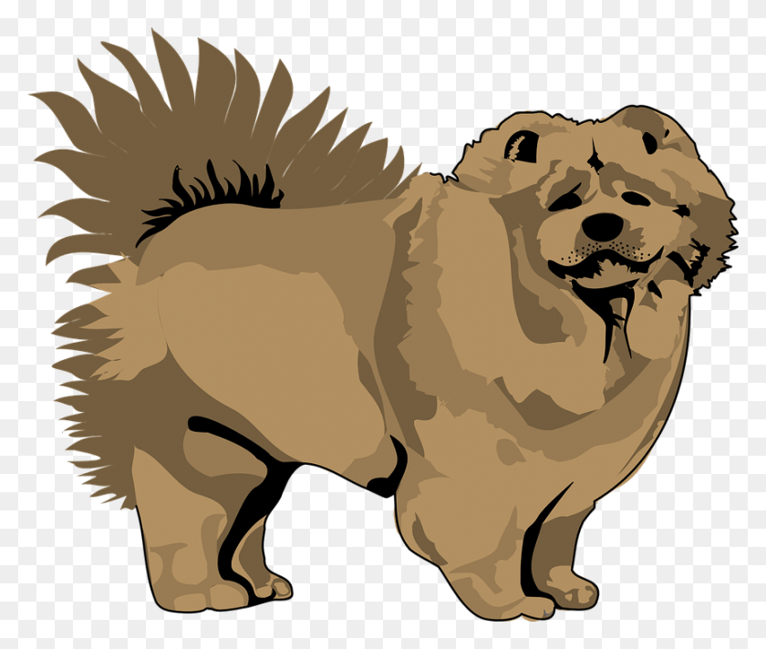 861x720 Brown Dog Pet Chow Chow Vector, Animal, Mammal HD PNG Download