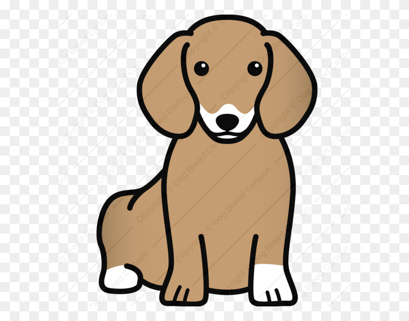 600x600 Brown Edition Dog Dachshund Cartoon, Hound, Pet, Canine HD PNG Download